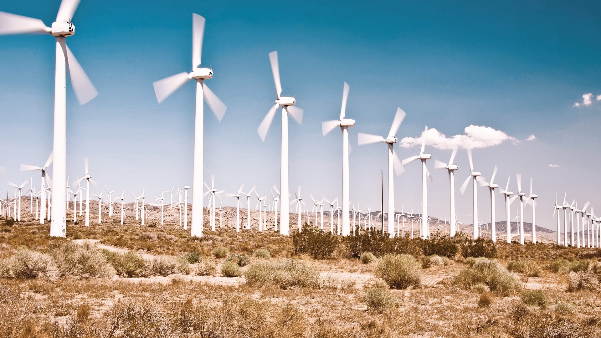 Windkraftanlagen auf einem Feld