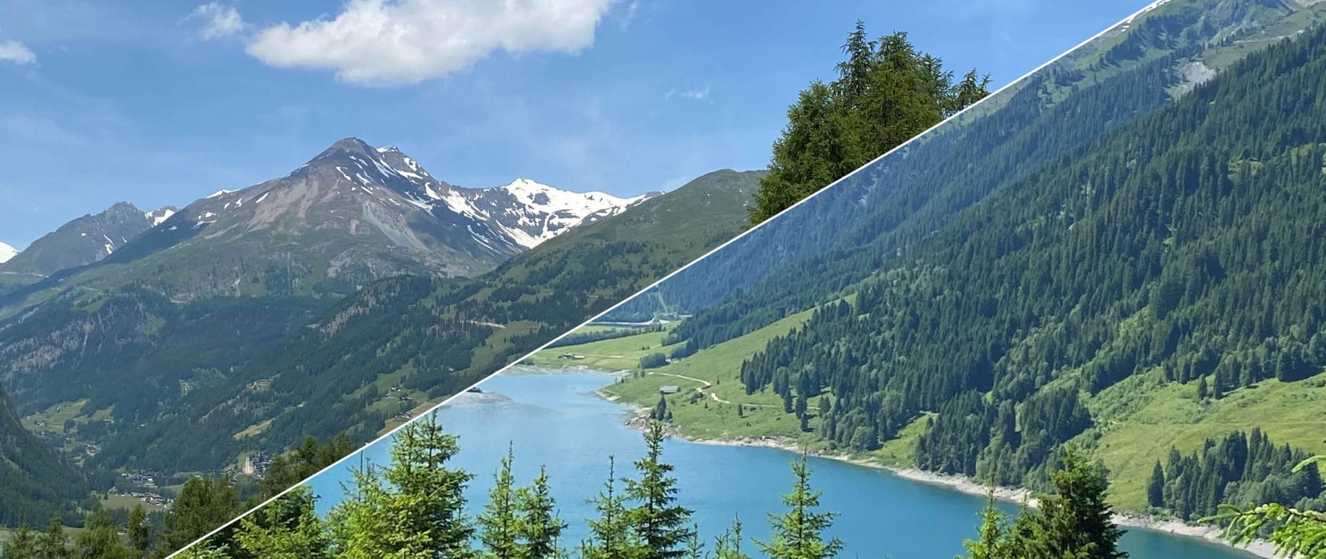 Ausblick auf Berge, Wald und einen See