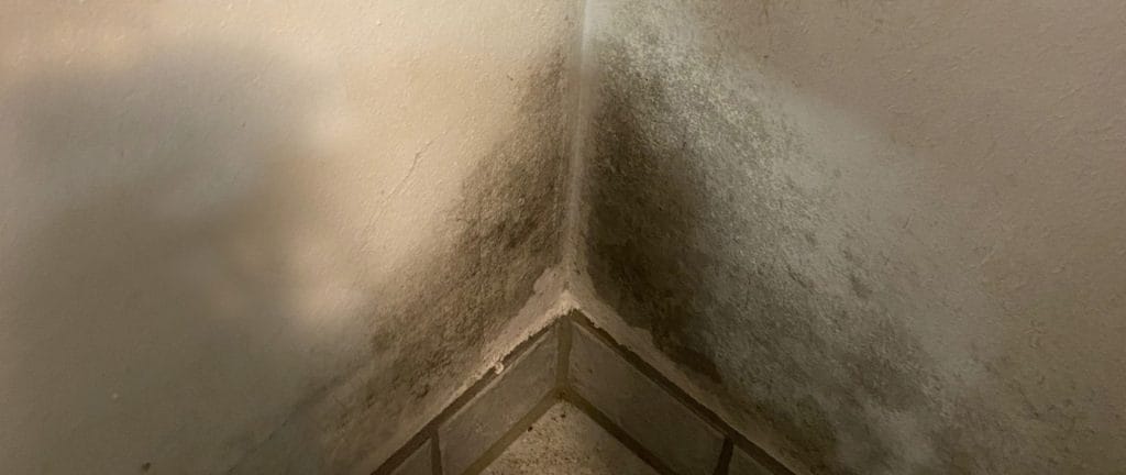 Kondenswasser, Schimmel oder Wasserschaden? Eine feuchte, mit Schimmel Kellerecke trotz Hitze