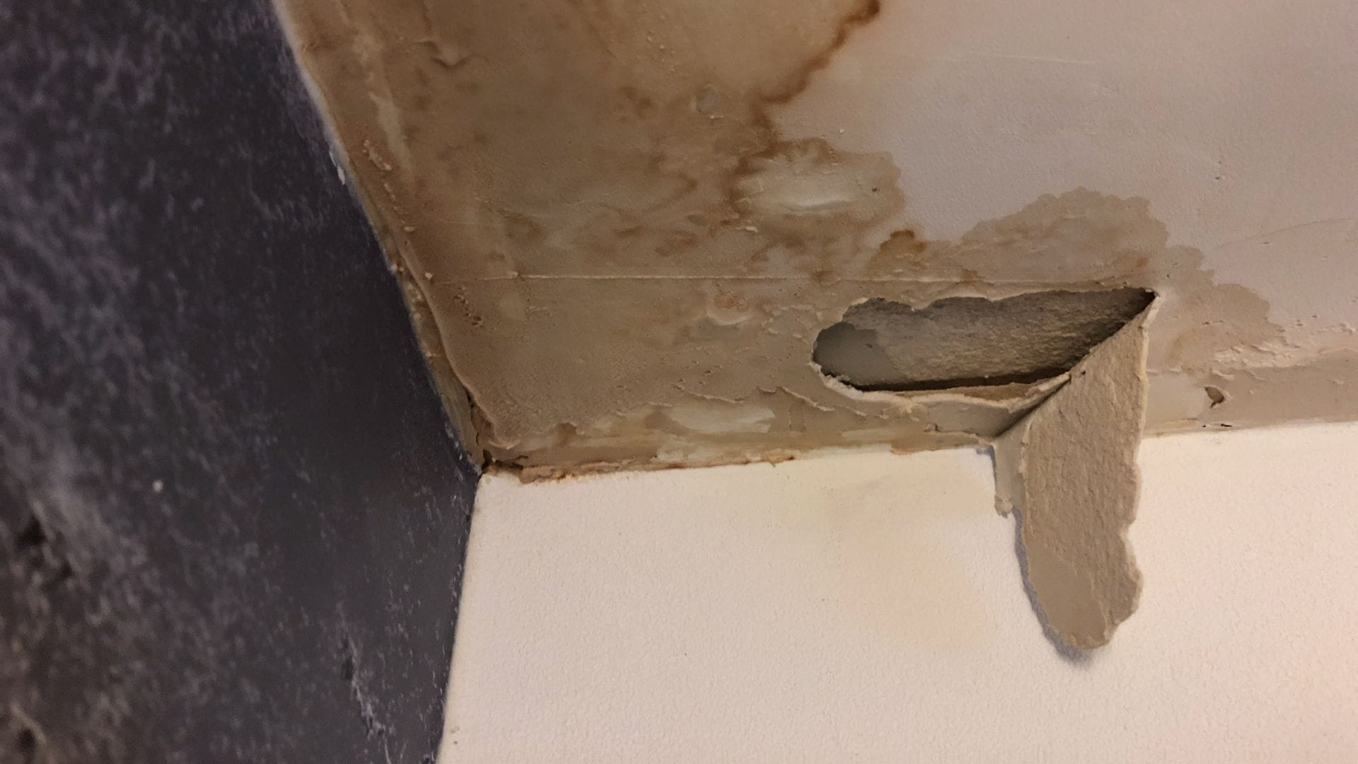 Fast-Tracking Structural Failure and Water Damage Recovery