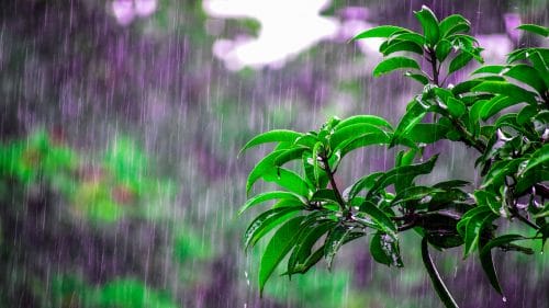 Be Prepared for Thailand's Monsoon Season This March