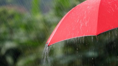 Facing Floods in a Changing Climate: How BELFOR Builds Resilience in Asia
