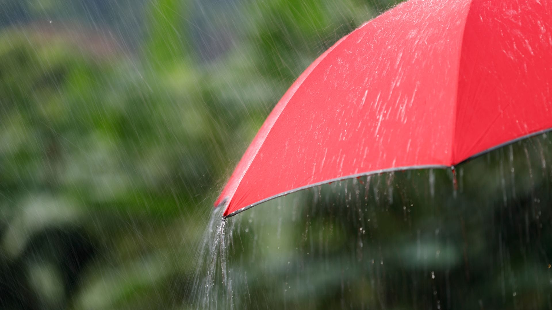 facing-floods-in-a-changing-climate-how-belfor-builds-resilience-in-asia