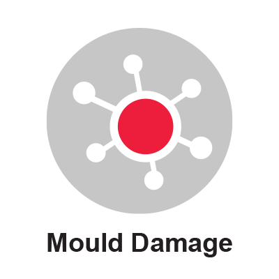 Mould Damage