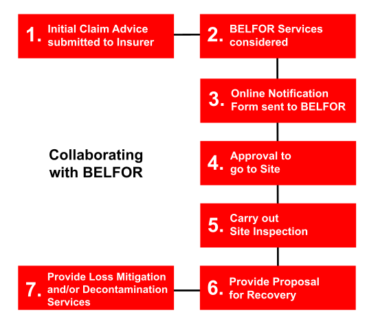 How BELFOR works with you?