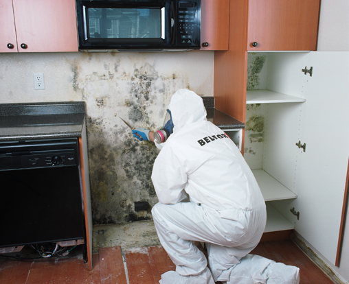 BELFOR technician inspects mold in kitchen