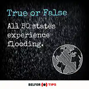 all states experience flooding