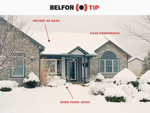 BELFOR tips for branches and pathways