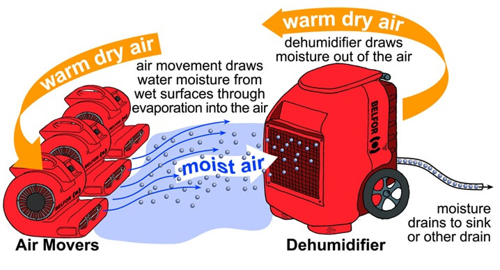 drying and dehumidification process graphic