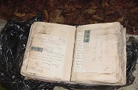 Contaminated book before restoration