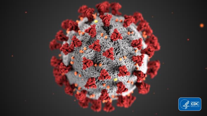 CDC image of coronavirus