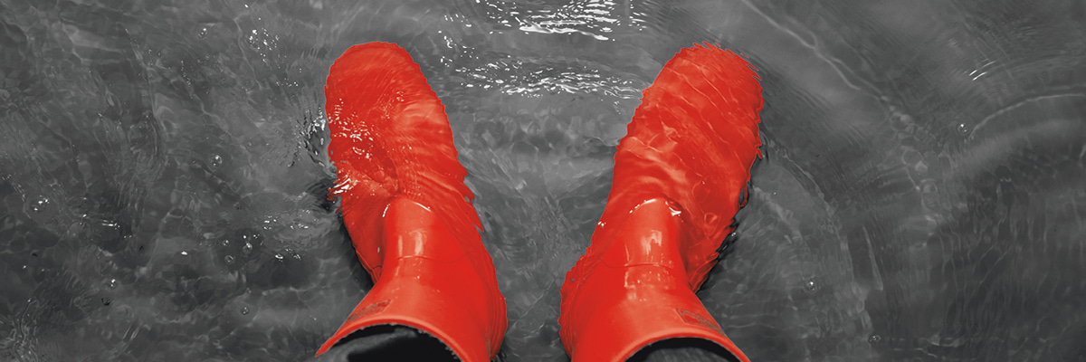 Ved oversvømmelse og skybrud er der brug for akut skadeservice, ring til BELFOR, så tager vi gummistøvlerne på