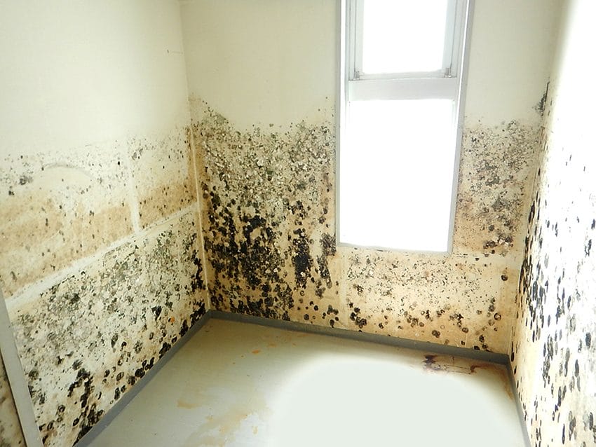 281-Mould-2021-lo res