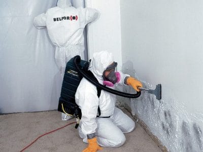 The Impact of Mold and Why Hiring a Professional Mold Remediation Company Matters