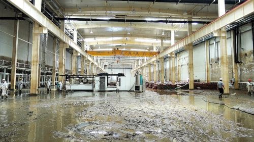 Fast-Tracking Water Damage Recovery to Avoid Structural Failure