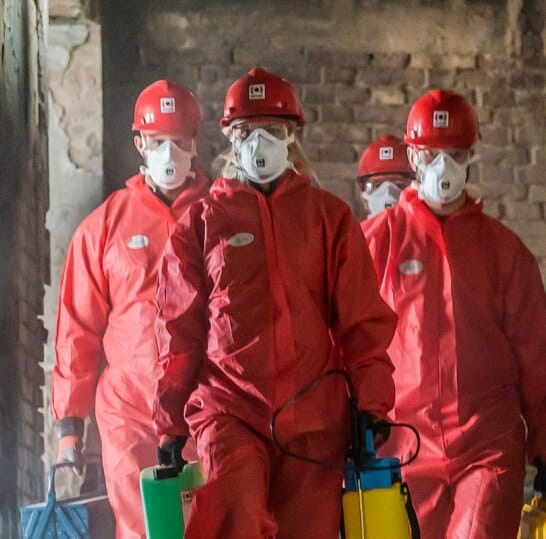 Cleanup and Disinfection Services