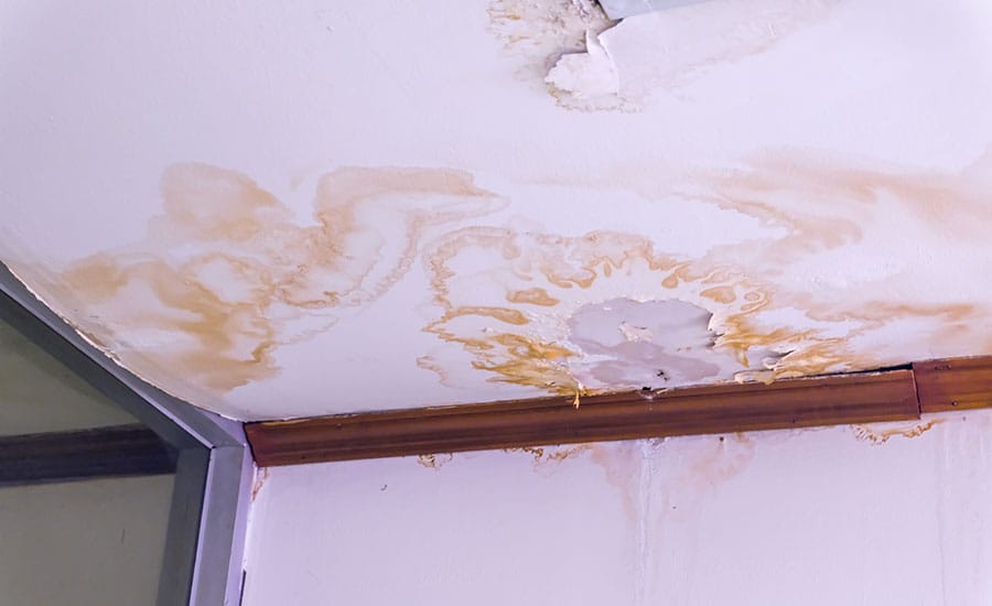 Water Damage Cleanup: Key Steps for Quick Recovery