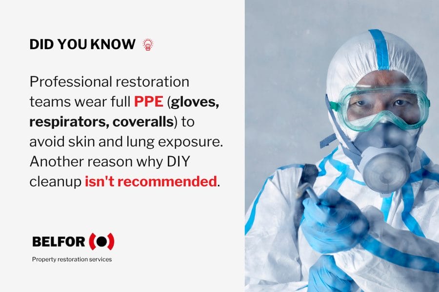 Infographic on Pro restoration teams wearing full PPE