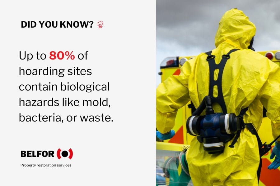 Did you know infographic about hoarding sites