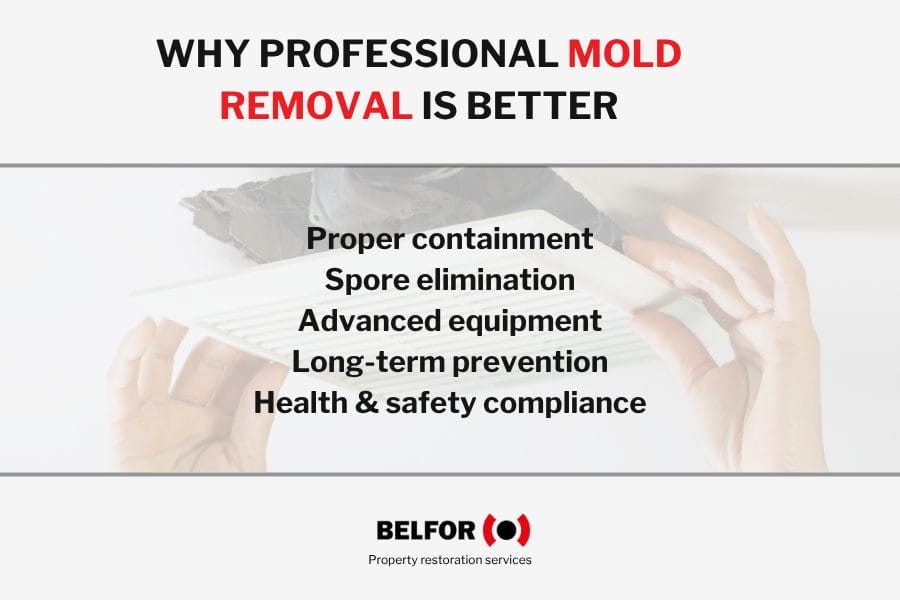 Info image on "Why professional mold removeal is better"