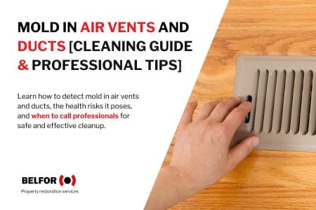 Mold In Air Vents & Ducts [Causes & 2026 Cleaning Guide]