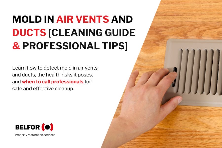 "Mold In Air Vents & Ducts" article hero image