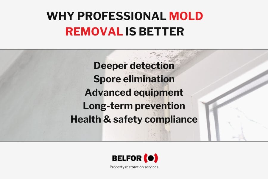 Info image on why pro mold removal is better